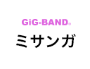 GiG-BAND® ミサンガ