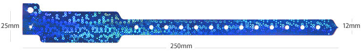 GiG-BAND® ホログラム 全体イメージ 長さ250mm、幅25mm